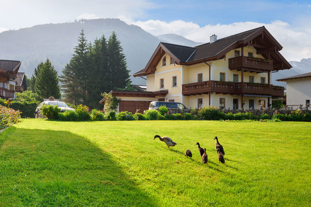 Running ducks - farm holiday in Radstadt Laufenten - Bauernhofurlaub in Radstadt