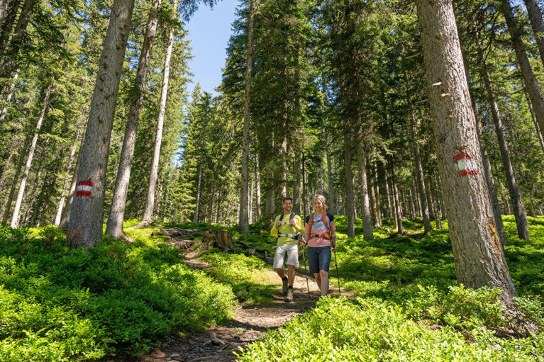 Wandern - Sommer-Urlaub in Radstadt Wandern - Sommer-Urlaub in Radstadt