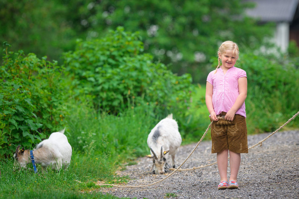 Goats - farm holiday in Radstadt Ziegen - Bauernhofurlaub in Radstadt